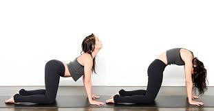 Cat-Cow Pose (Marjaryasana-Bitilasana)