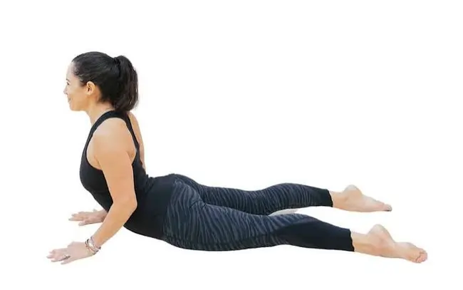 Cobra Pose (Bhujangasana)