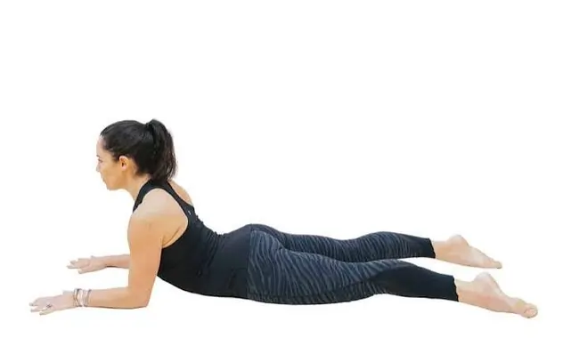 Sphinx Pose(Lying on Forearm Supported)or Salamba Bhujangasana