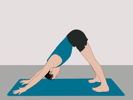Adho Mukha Svanasana (Downward Dog Pose)