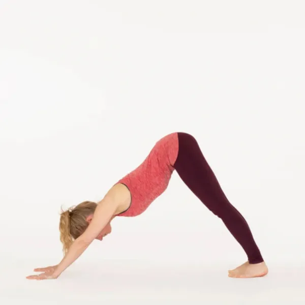 Adho Mukha Svanasana (Downward-Facing Dog)