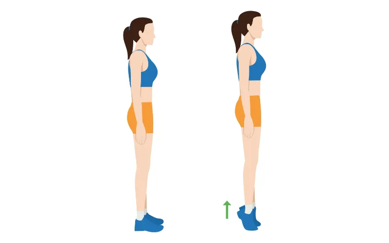 Calf raises