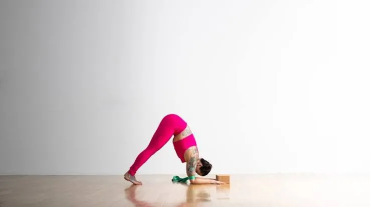 Dolphin Pose (Makarasana variation)