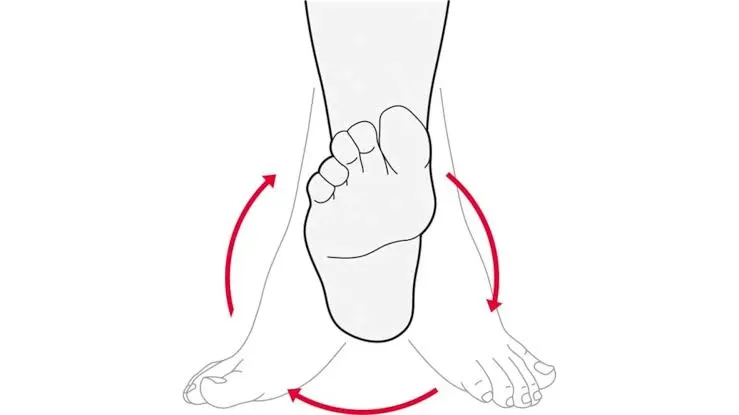Ankle Circles (Pada Ghurnita)