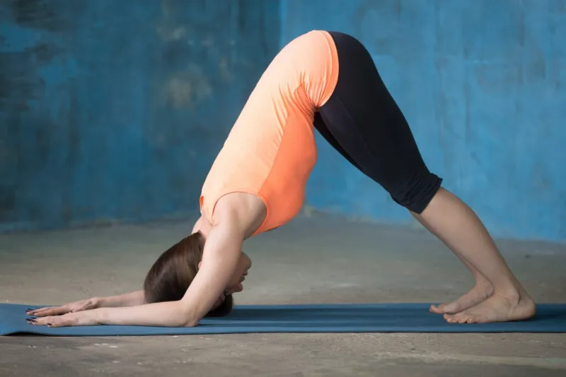 Headstand Prep or Dolphin Balance