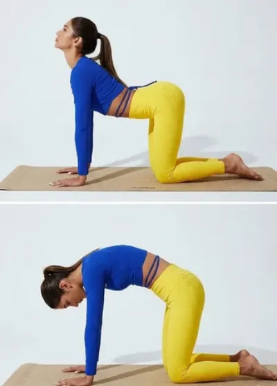 Marjaryasana–Bitilasana (Cat–Cow Pose)