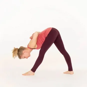 Parsvottanasana(Intense side stretch)
