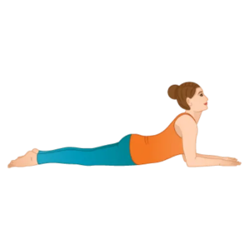 Salamba Bhujangasana (Sphinx Pose)
