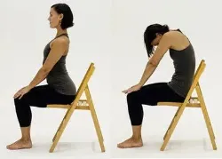 Seated Cat-Cow (Bitilasana Marjaryasana)