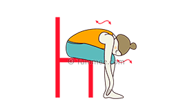 Seated Forward Bend (Paschimottanasana)
