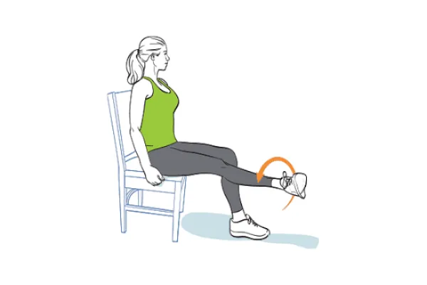 Seated ankle rotation