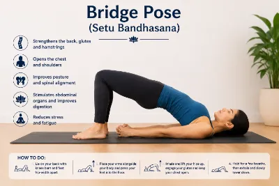 Setu Bandhasana (Bridge Pose)