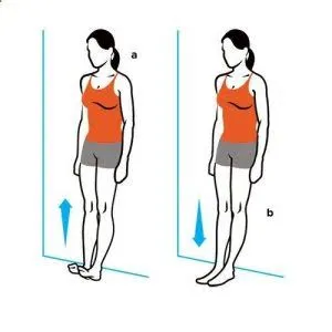 Toe raises