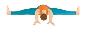 Upavistha Konasana ( Wide-angle seated forward bend)