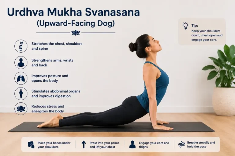 Urdhva Mukha Svanasana (Upward-Facing Dog)