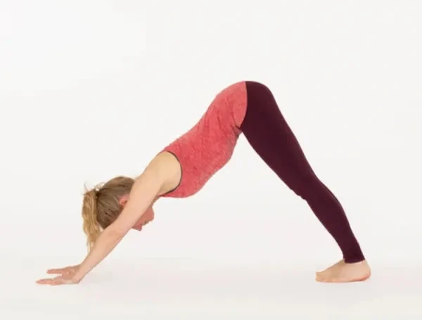 Adho Mukha Svanasana (Downward-Facing Dog)