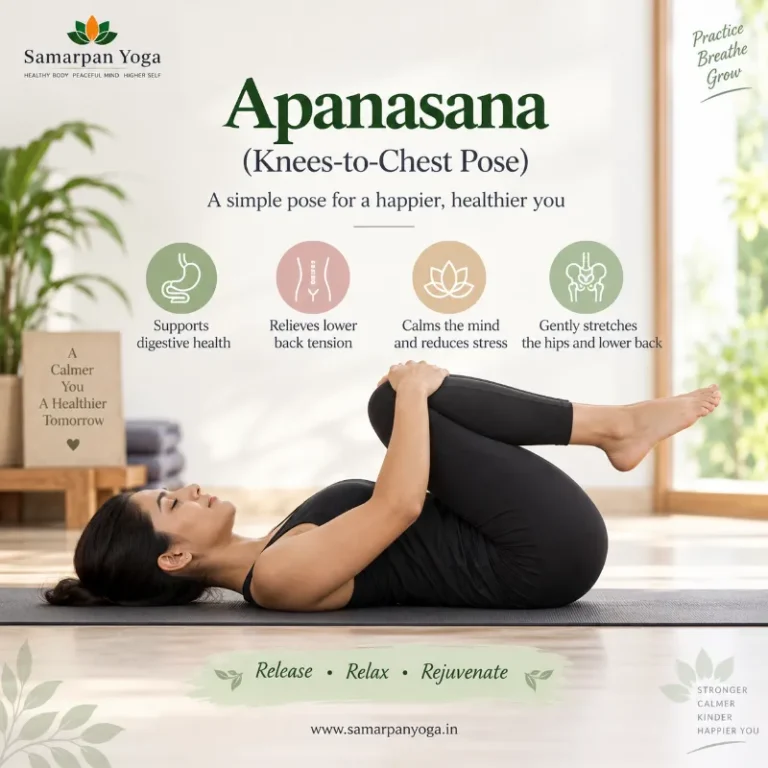 Apanasana (Knees-to-Chest Pose)