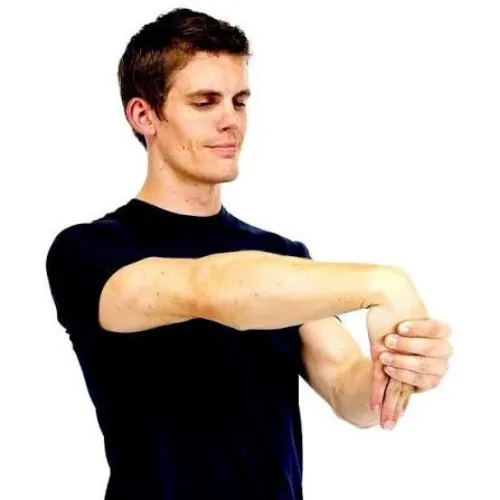 Wrist Extensor Stretch