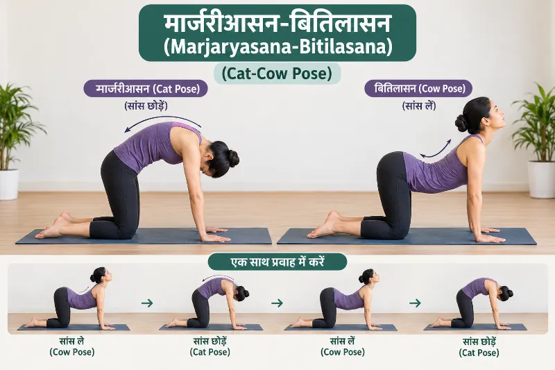 मार्जरीआसन-बितिलासन