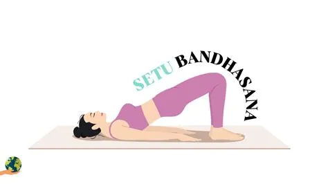 सेतु बंधासन..