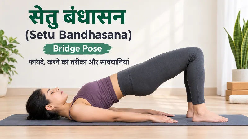 सेतु बंधासन