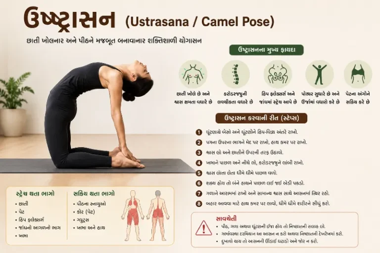 ઉષ્ટ્રાસન (Ustrasana Camel Pose)