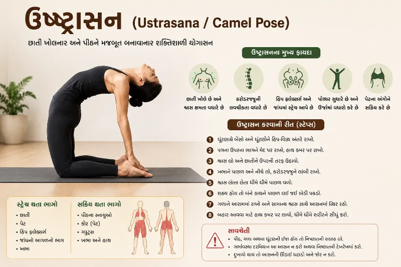 ઉષ્ટ્રાસન (Ustrasana Camel Pose)