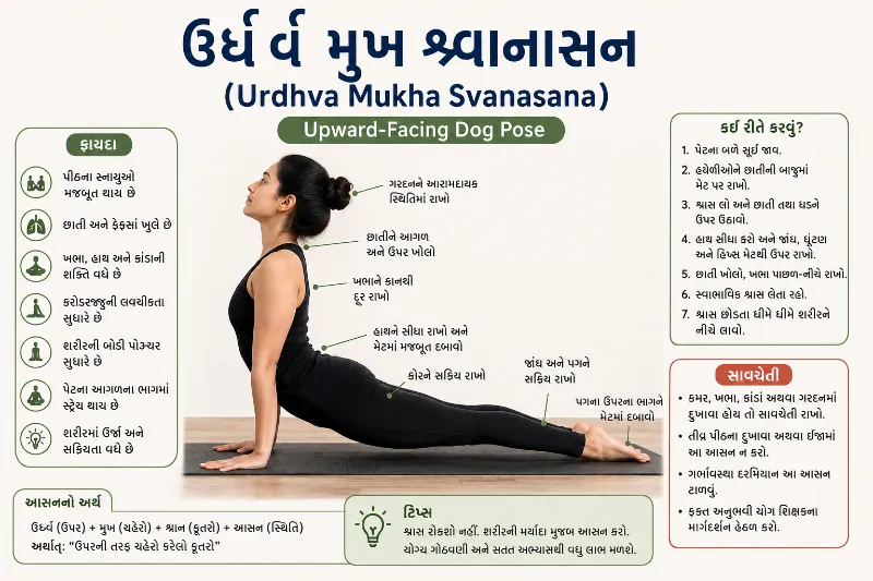 ઊર્ધ્વ મુખ શ્વાનાસન
