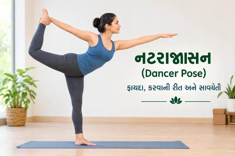 નટરાજાસન