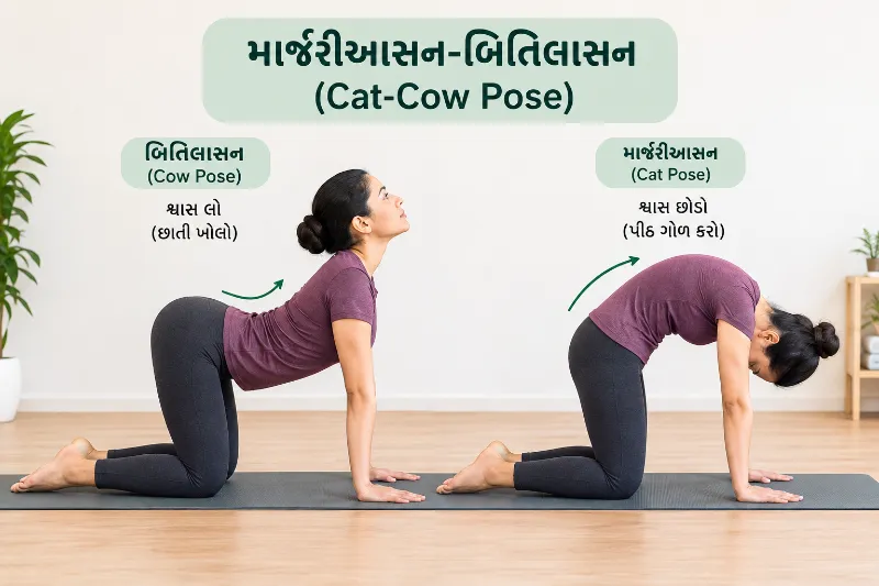 માર્જરીઆસન-બિતિલાસન