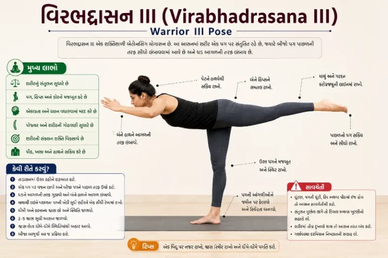વિરભદ્રાસન III (Warrior III)