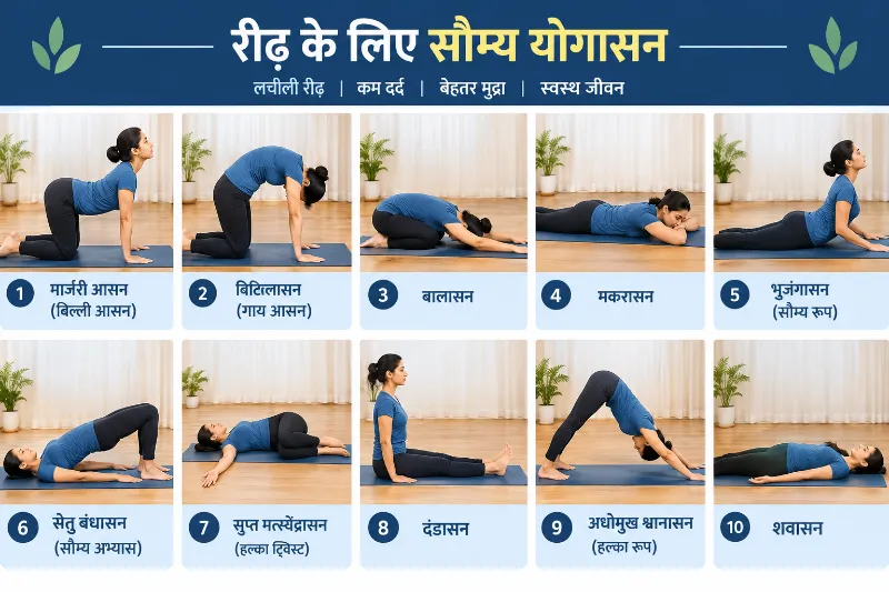 रीढ़ के लिए सौम्य योगासन
